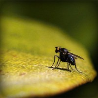 /album/dareckov/photolia-a07-jpg/